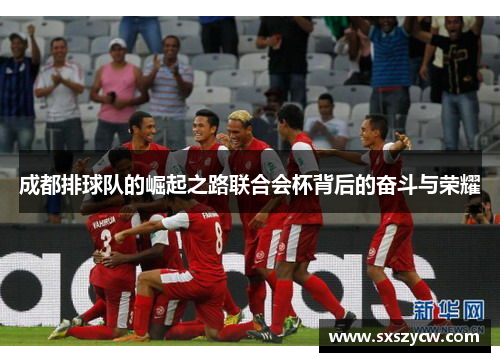 成都排球队的崛起之路联合会杯背后的奋斗与荣耀