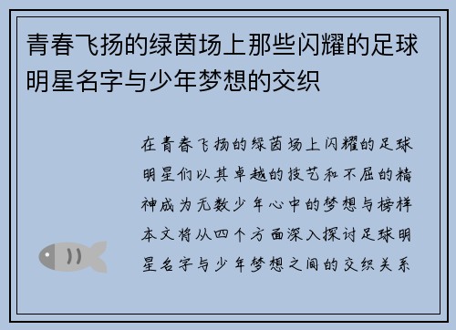 青春飞扬的绿茵场上那些闪耀的足球明星名字与少年梦想的交织
